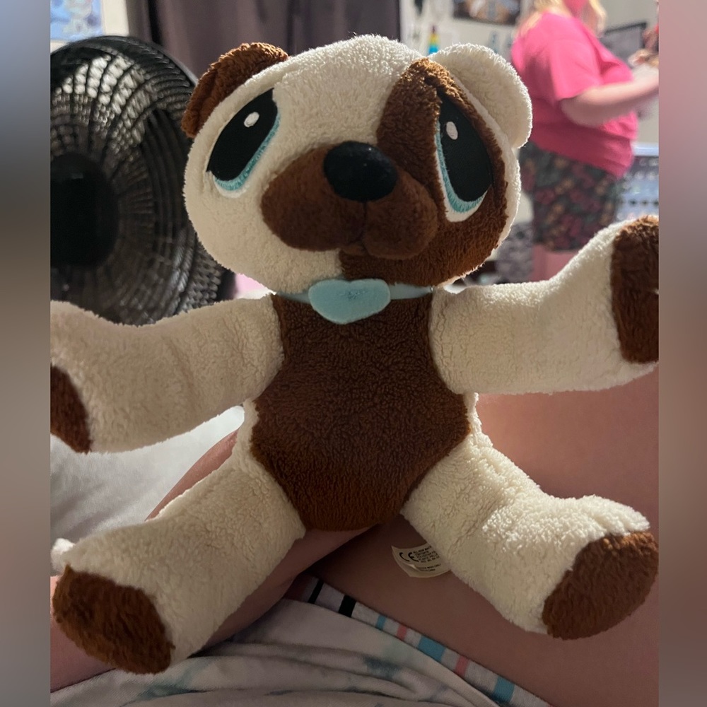 Rescue pets doggy